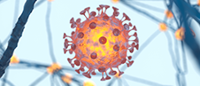 Diffusione del Coronavirus: informazione alla comunità SUPSI